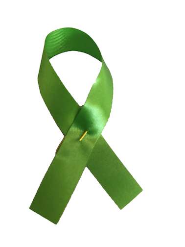 Awareness Ribbons Lime Green (100 units)