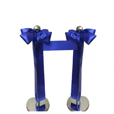 royal blue 2 set bow
