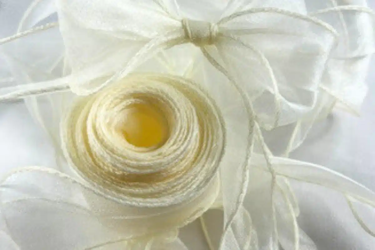 ivory fishtail organza ribbon