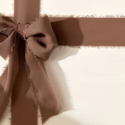 frayed edge chiffon ribbon chocolate 38mm
